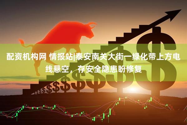 配资机构网 情报站|泰安南关大街一绿化带上方电线悬空，存安全隐患盼修复