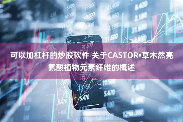 可以加杠杆的炒股软件 关于CASTOR•草木然亮氨酸植物元素纤维的概述