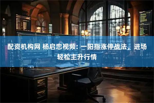 配资机构网 杨启忠视频: 一阳指涨停战法，进场轻松主升行情