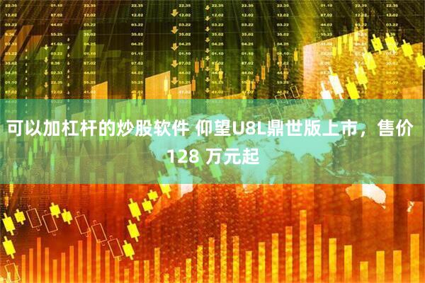 可以加杠杆的炒股软件 仰望U8L鼎世版上市，售价 128 万元起